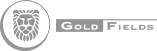 Gold Field